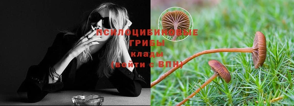 спиды Новосибирск