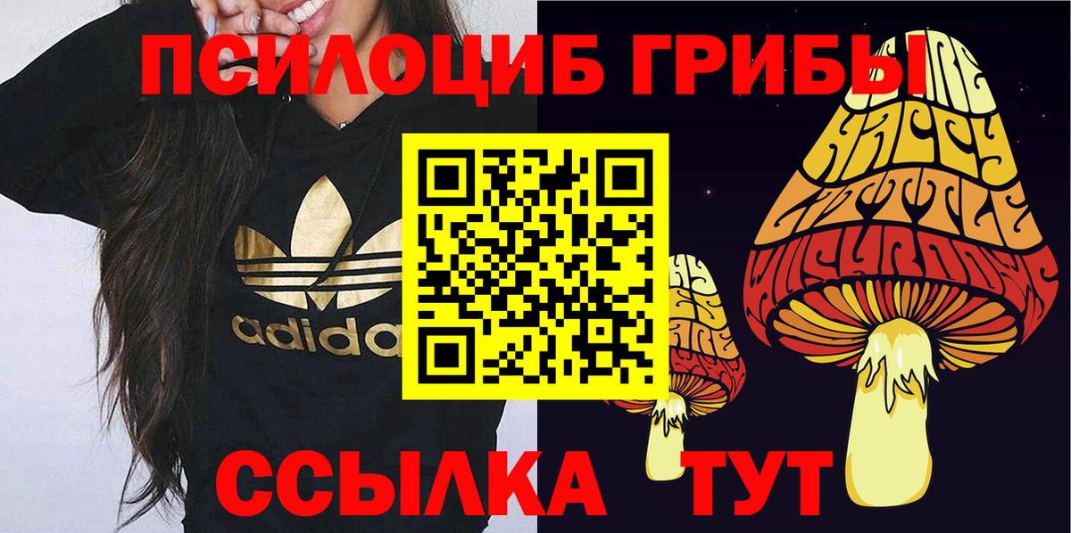Псилоцибиновые грибы мухоморы  Вход с VPN  Кизляр  Галлюциногенные грибы MAGIC MUSHROOMS 