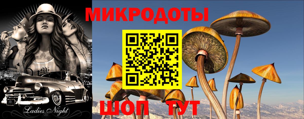 Галлюциногенные грибы Magic Shrooms Кизляр