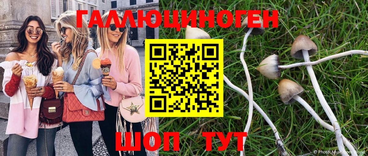 Галлюциногенные грибы GOLDEN TEACHER  Кизляр 