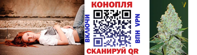 где продают   MEGA как зайти  Шишки марихуана конопля  Кизляр 